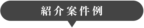 紹介案件例